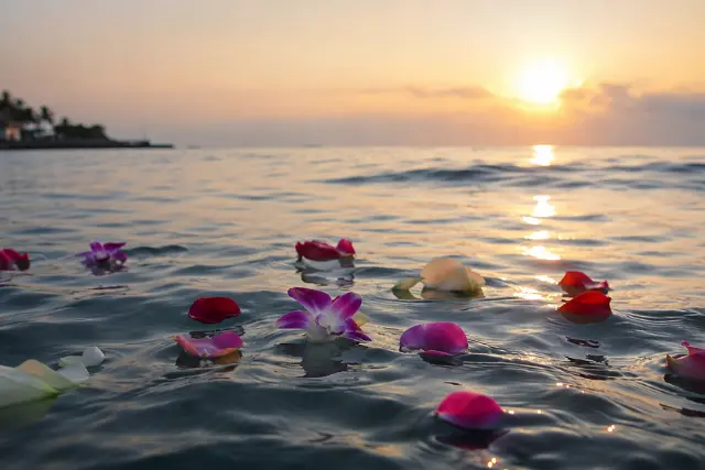 海に浮かぶ献花